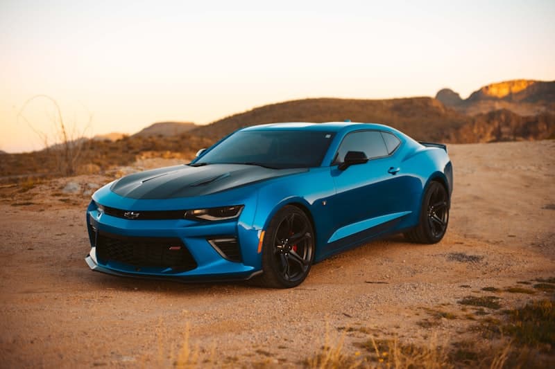 Tint + Wrap Combo