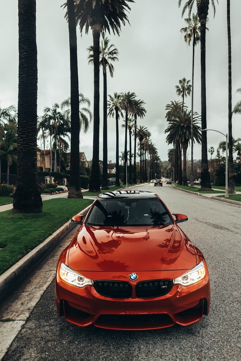 Window Tint